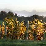 Des Vignes Semesterbostad Monein