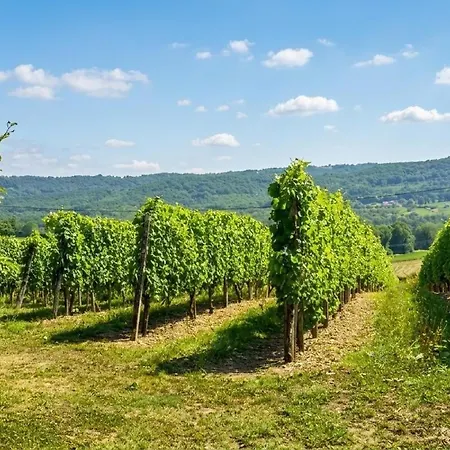 Dom wakacyjny Des Vignes *