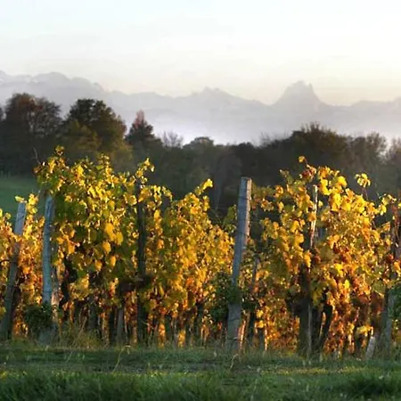 Dom wakacyjny Des Vignes *