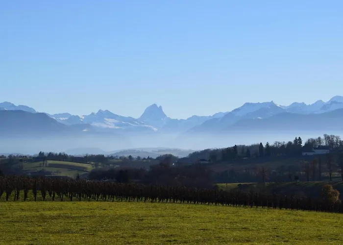 Des Vignes